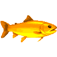 salmon-party