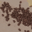 send-nudes-coffee
