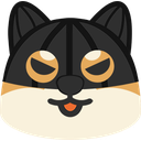 shiblob robber