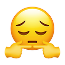 shy