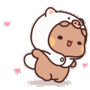 spinbear