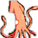 squid_party
