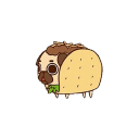 taco-dog