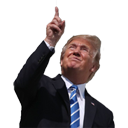 this_pointing_trump