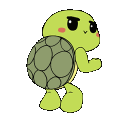 tortoisedance0