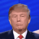 trump_ah
