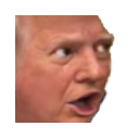 trump_pogq