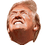 trump_shaking