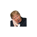 trumpsleep-q