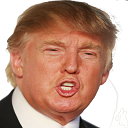 trumpwrong