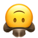 upside_down_cowboy