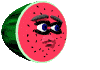 watermelon_seeds