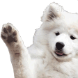 waveboi