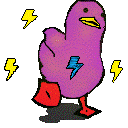 what_da_duckq