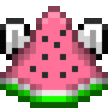 winged_watermelon