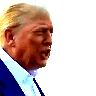 wtf-trump