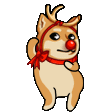 xmas_doge