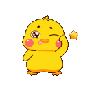 yellowduckq