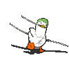 zoro-duckie